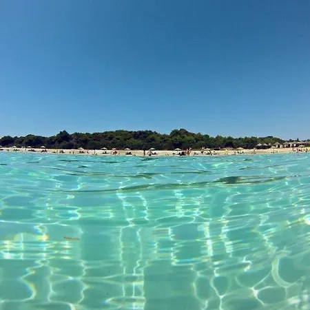 Sea House Mobile Home, Pool, Bikes, Sup - Privilege Point & Villa *